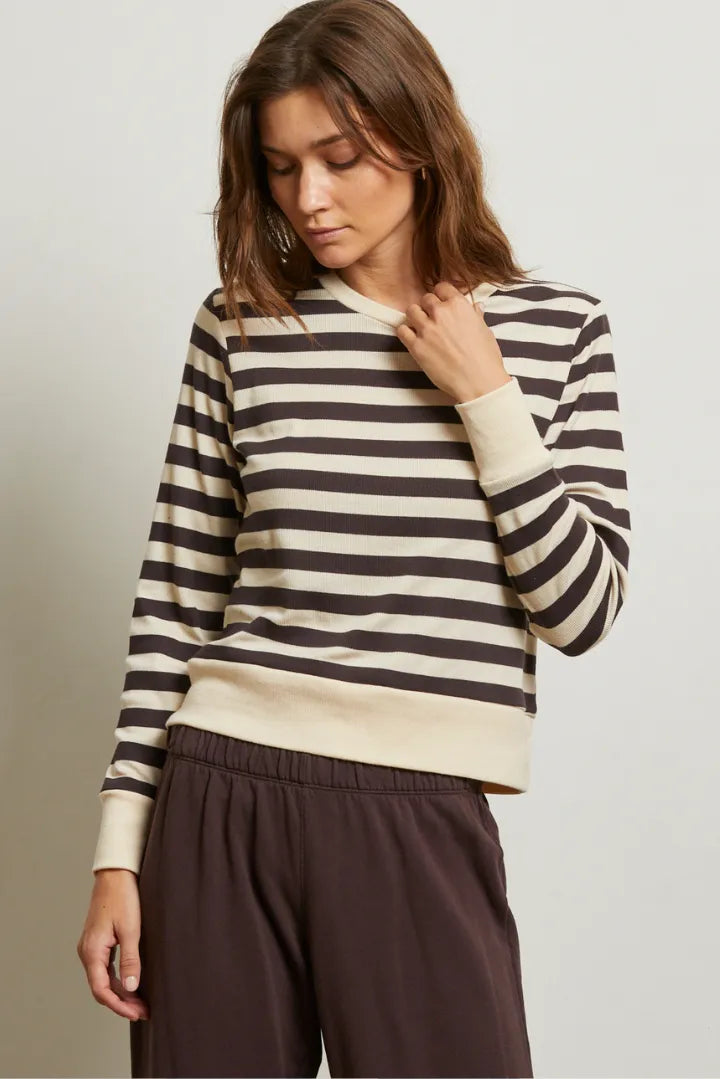 stef stripe