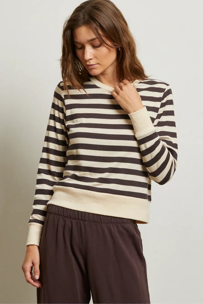 stef stripe